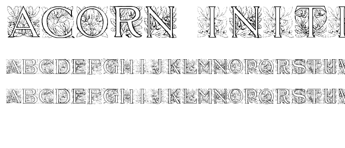 Acorn Initials font