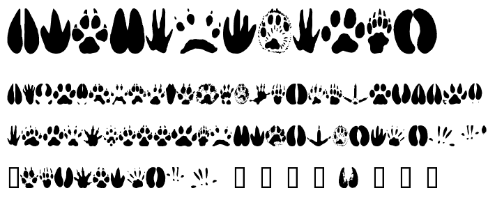 AnimalTracks font