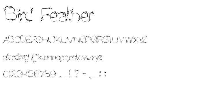 Bird Feather font