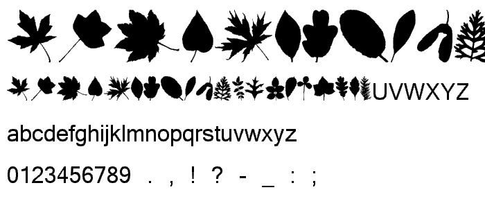 JI Nature Bats font