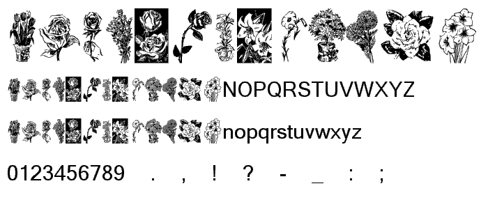 KR Beautiful Flowers font