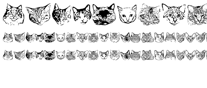 KittyPrint AOE font