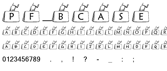 pf_bcase1 font