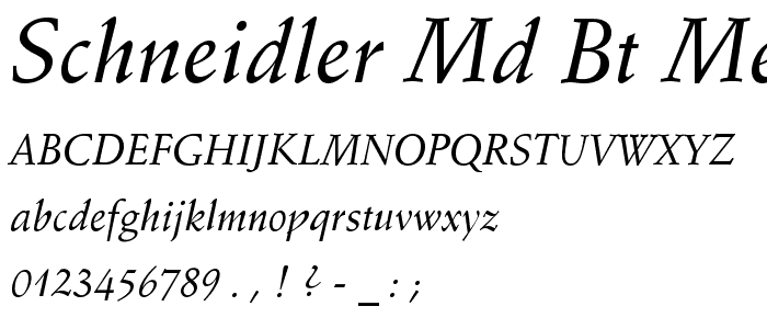 Schneidler Md BT Medium Italic font