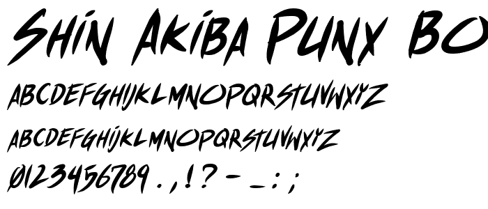 Shin Akiba Punx Bold Italic font