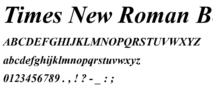 Times New Roman Bold Italic font