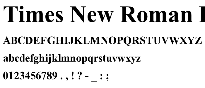 Times New Roman Bold font