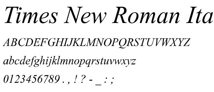 Times New Roman Italic font