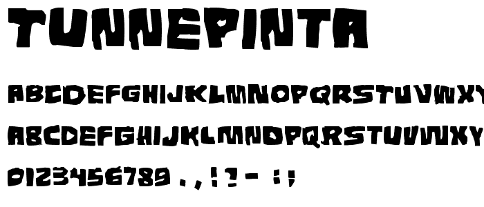 Tunnepinta font