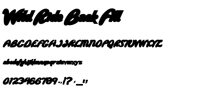 Wild Ride Back Fill font