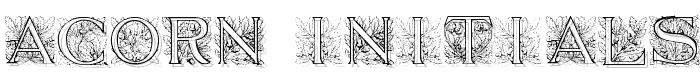 Acorn%20Initials font