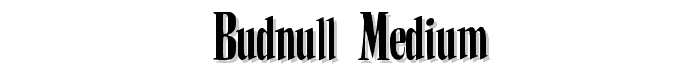 BudNull%20Medium font