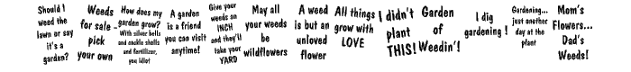 KR%20Gardenz font