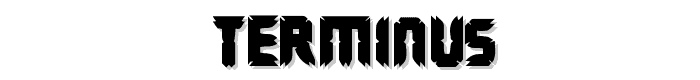 Terminus font