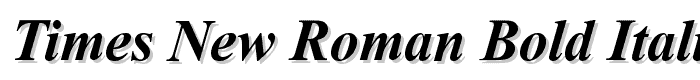 Times%20New%20Roman%20Bold%20Italic font